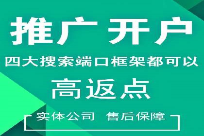 竞价排名的投放策略与效果评估案例